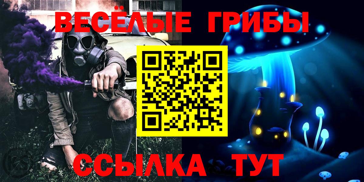 Псилоцибиновые грибы прущие грибы  Вход с VPN  Псилоцибиновые грибы мицелий  наркота  Карачаевск 